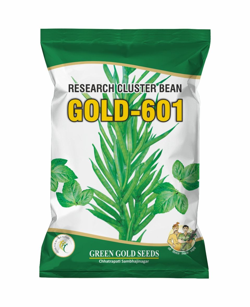 バジル　1206060 Products | Green Gold Seeds